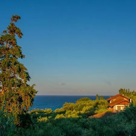 Bella Mare Tsilivi Villas Zakintos